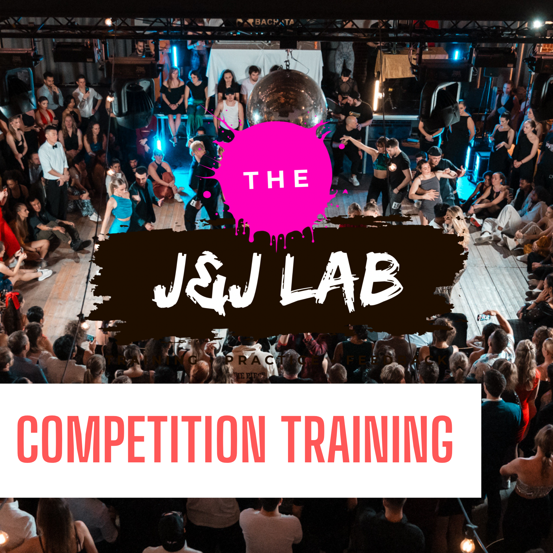 Jack & Jill Lab Denmark - Competition Training